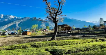 Murree Nathia Gali & Kashmir Tour Package 