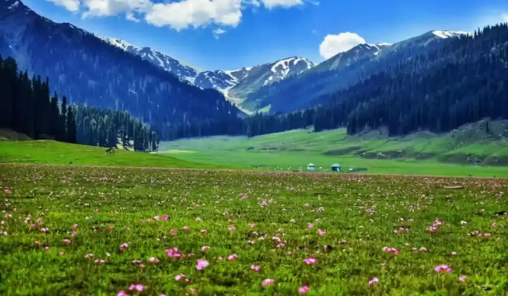 4 Days Baboon Valley & Sharda Honeymoon Package